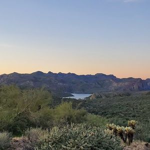 Meet your Posher, Peter